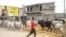 FILE - A man leads his cows on the roadside in western Cameroon, Jan. 18, 2022. Cameroon officials say more than two million people are facing hunger along its northern borders. 