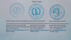 መግለጺ ሰለስተ ተቓወምቲ ውድባት ክልል ትግራይ