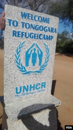 Abahlala eTongogara Refugee eManicaland kwele Zimbabwe badabuka eDemocratic Republic of Congo, Rwanda, Somalia, Mozambique lamanye amazwe. (VOA)