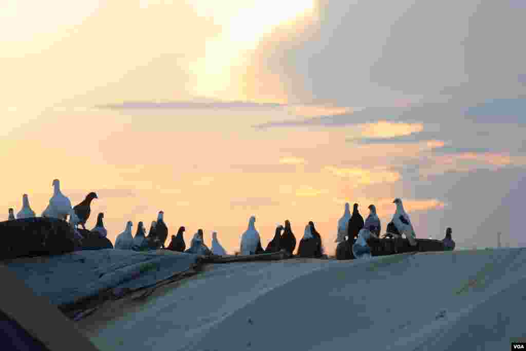 Derbiderbên Efrînî