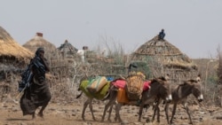 ካርበን ክሬዲት ለኢትዮጵያ የአየር ንብረት ቀውስ ምላሽ ነው? 