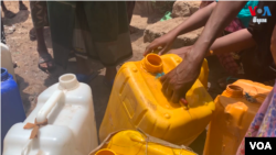 FAAYILII - Naoota bishaan waraabbatan