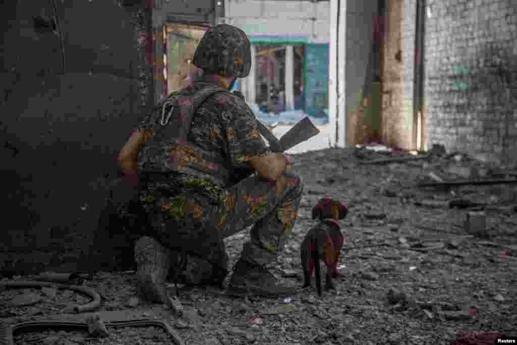 A Ukrainian service member with a dog observes in the industrial area of the city of Sievierodonetsk, Ukraine, as Russia&#39;s attack on Ukraine continues, June 20, 2022.&nbsp;