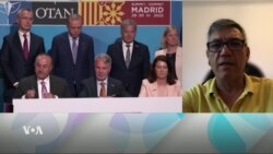 Biryara Tirkîyê ya Destekdayîna Endamtîya Swêd û Fînlandîya û Bandora Ser Kurdan