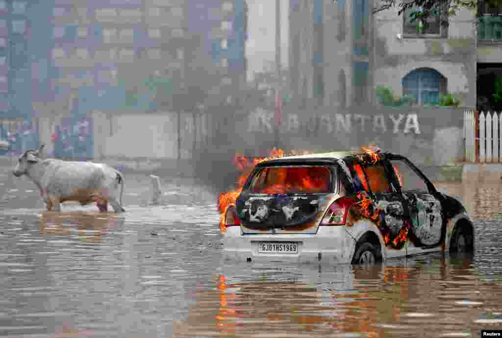 A cow moves past a burning car that, according to fire officials, caught fire by an electrical short circuit after it was stuck in a water-logged road following heavy rains in Ahmedabad, India, July 11, 2022.