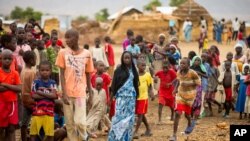 FILE - Refugees are seen gathered at Minawao Refugee Camp in northern Cameroon, April 18, 2016. The U.N. refugee agency has called on Cameroon to stop forcibly repatriating Nigerians refugees on its territory. 