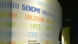 Smithsonian Genome Exhibit Unlocks 21st Century Science of Life