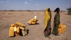 Lakkoobsi Lammiiwwan Itiyoophiyaa Gargaarsa Barbaadan Dabale: OCHA