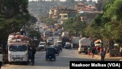 Faayilii - Gimbii, Walaga Lixaa