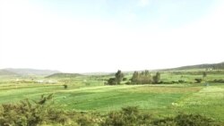 ነበርቲ ወረዳ ጉሎ መኸዳ ክልል ትግራይ ብሰንኪ ኲናት ጥምየት ከምዘጋጠሞም ገሊጾም