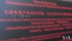 吴国光教授美国之音专访