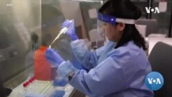 Gumiin Fayyaa Addunyaa Talaalii fi Dawaan COVID-19 Ittisu Nama Maraaf Akka Dhiyaatu Wixinee Gaafatu Qopheesse