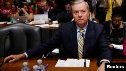 Сенатор-республиканец Линдси Грэм 