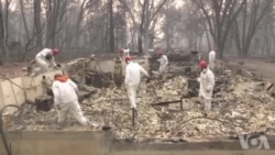 加州野火已经造成66人死亡