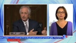 حامیان دمکرات سنا به ۲۹ تن رسید