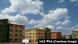 በሐረር ከተማ “ገልመሺራ” በተባለ የመኖሪያ ሰፈር 