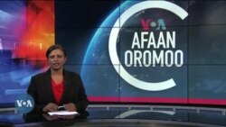 Tamsaasa Guyaadhaa Guyyaa