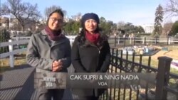 Kemeriahan Natal di Amerika (1)