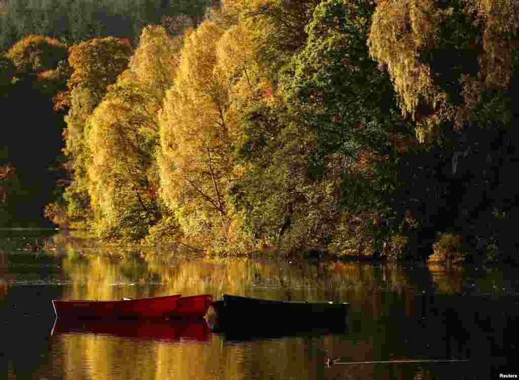 Pemandangan daun-daun warna-warni saat musim gugur di sebuah danau di Pitlochry, Skotlandia.