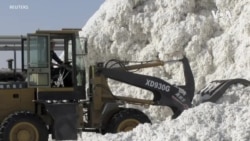 美民众评论“新疆棉”涉嫌强迫劳动