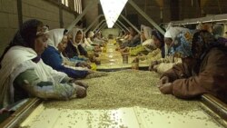 አፍሪካ በጋዜጦች