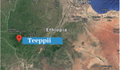 Nageenyi Magaalaa Teeppii Bakkatti Deebi’aa Jira: Angawaa Naannoo