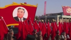 美国议员对川金核峰会是否明智意见不一