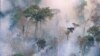 The forest burns near Prey Long, Cambodia in this undated handout photo. 