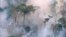 The forest burns near Prey Long, Cambodia in this undated handout photo. 