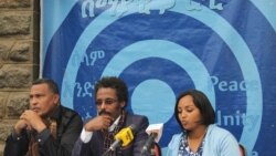 የሰማያዊ መሪዎች ባህርዳር ላይ ክስ ተመሠረተባቸው