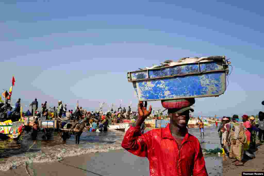 세네갈 어촌 마을 조알에서 한 어부가 갓 잡은 물고기를 담은 통을 나르고 있다.