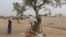 FILE - A man sells tomatoes under a tree at the Minawao refugee camp in Minawao, Cameroon.