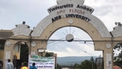 Yunivarsitii Ambootti Eebbifamaan Qabxii Ol'aamaa Fiduun Badhaafame