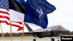 NATO xartiyasının beşinci maddəsi alyansın bir üzvünə hücumunu digərlərinə hücum kimi qiymətləndirir və buna kollektiv cavab verilməsini təsbit edir. Lakin estonlar vətənin qorumasında ən mühüm rolu özləri oynadıqlarını unutmurlar.