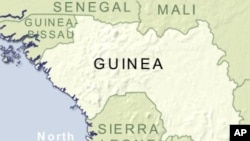 Guinea Pulls Out of Mediation Talks