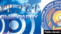 የሰማያዊ ፓርቲ እና መኢአድ