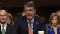 美参议院确认新任国防长提名