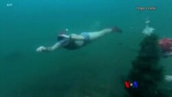 အတိတ်ဟောင်းစွန့်ပစ်ပွဲ၊ ရေခဲပြင်အောက်အပင်စိုက်သူတွေ