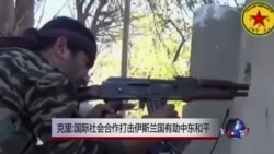 克里:国际社会合作打击伊斯兰国有助中东和平