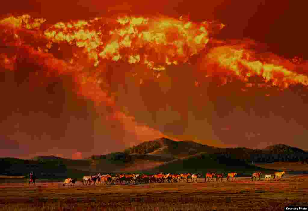 Juga di peringkat keenam adalah foto Zuopeng Zhang dari Kanada berjudul &quot;Mongolian Pasture&quot; berlokasi di padang rumput Mongolia.