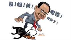 火墙内外：有关令计划报道被严加管控