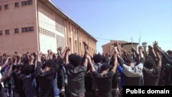 Faayilii - Mormii Haramayaa Yunivarsitii, bara 2016 Oromiyaa