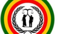 ኣመራርሓ ኣርበኞች ግንቦት 7 አዲስ አበባ ኣትዮም