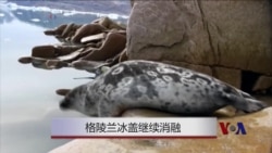 格陵兰冰盖继续消融