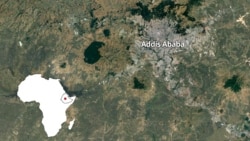 የባንዲራ ጉዳይ