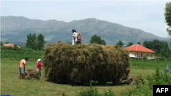 Dajçi, gjashtë muaj pas përmbytjeve