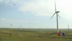 业内人士：美国若退出气候行动 中国会得利