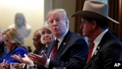 美国总统特朗普在华盛顿白宫内阁室主持有关边境安全的圆桌会议。（2019年1月11日）