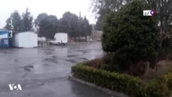 ارسالی شما| یک شهروند ایرانی پس از سقوط اسد: آسمان هم از سقوط دیکتاتور خوشحال است