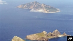 日本称“尖阁群岛”，中国称“钓鱼岛”的群岛(资料照片)